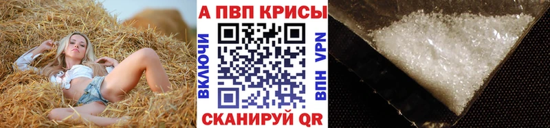 купить закладку  Шуя  ссылка на мегу зеркало  A PVP мука 