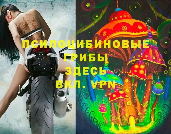 спиды Алексин