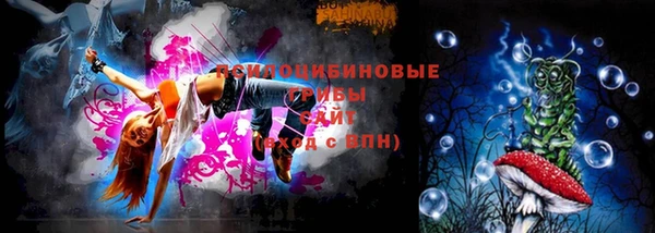 твердый Алексеевка